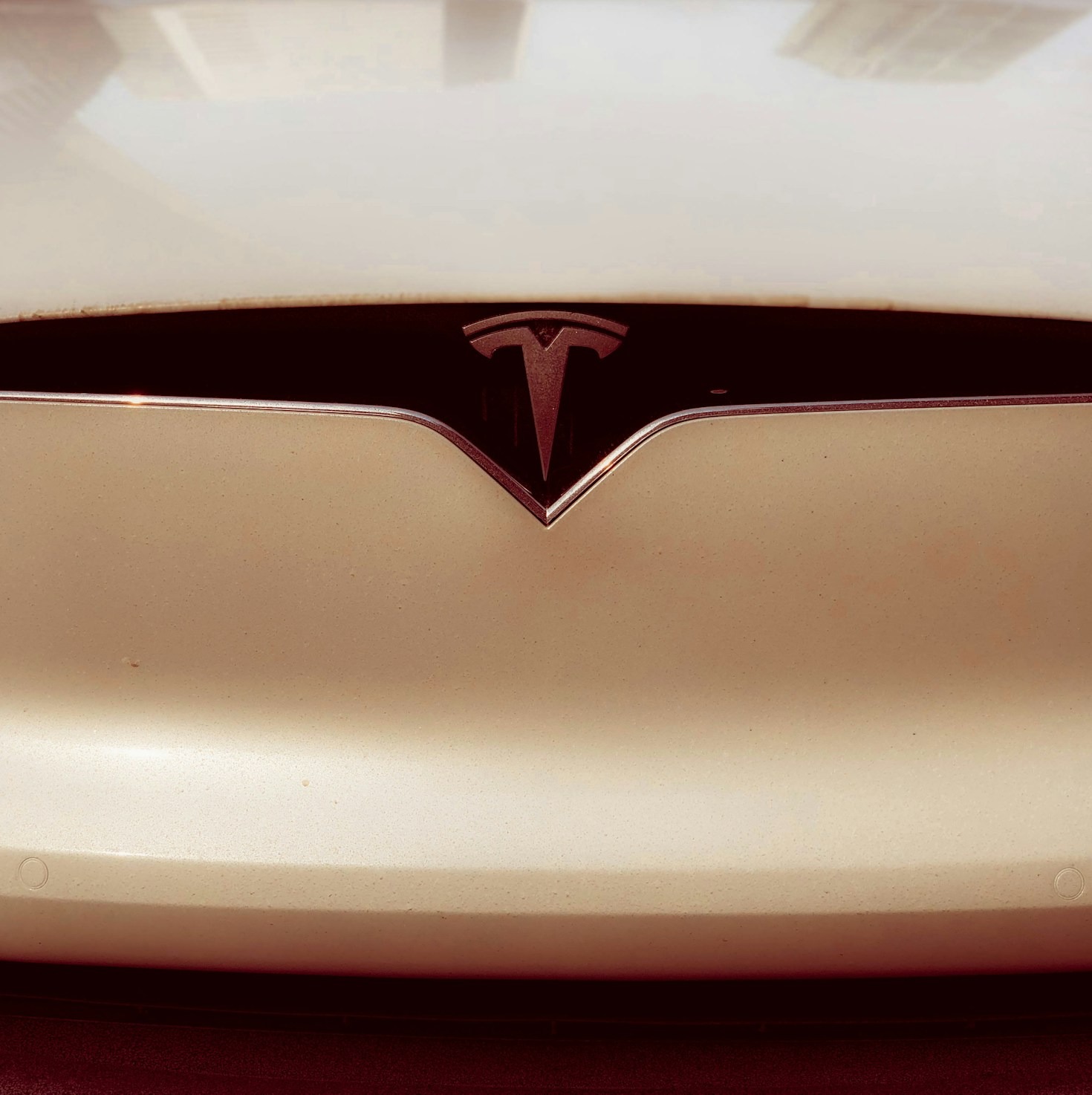 How the Tesla Community is Shaping the Future